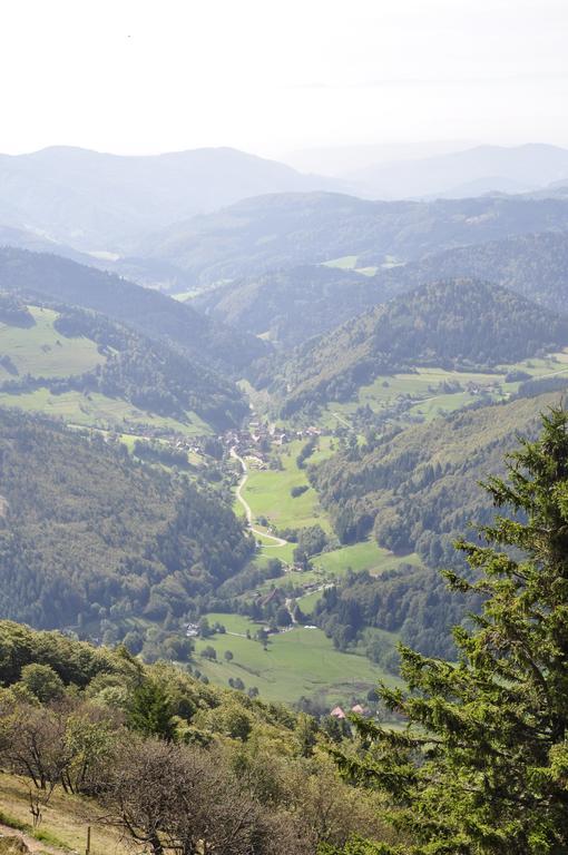Dachsberg im Schwarzwald Pension Gasthaus Zur Schmiede מראה חיצוני תמונה