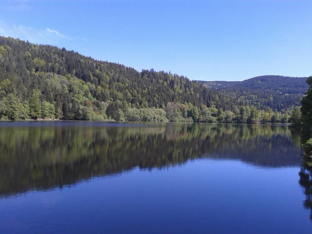 Dachsberg im Schwarzwald Pension Gasthaus Zur Schmiede מראה חיצוני תמונה